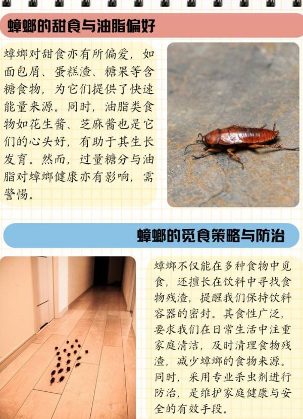 什么动物吃蟑螂（什么动物吃蟑螂适合在家养）