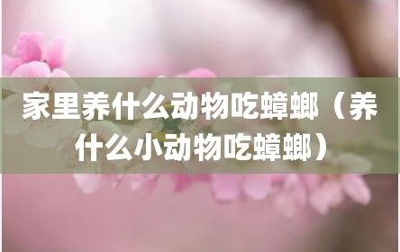 家里养什么动物吃蟑螂（养什么小动物吃蟑螂）