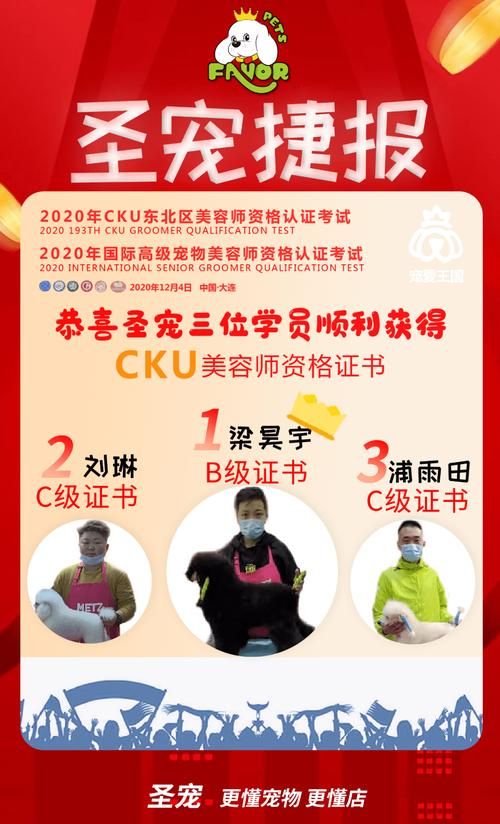 宠物美容证书资格证_宠物美容证书资格证有什么用