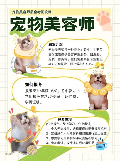 宠物美容证书资格证_宠物美容证书资格证有什么用
