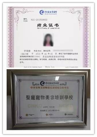宠物美容师资格证自考难吗_宠物美容师可以自考吗