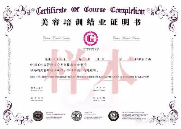 宠物美容师资格证自考难吗_宠物美容师可以自考吗