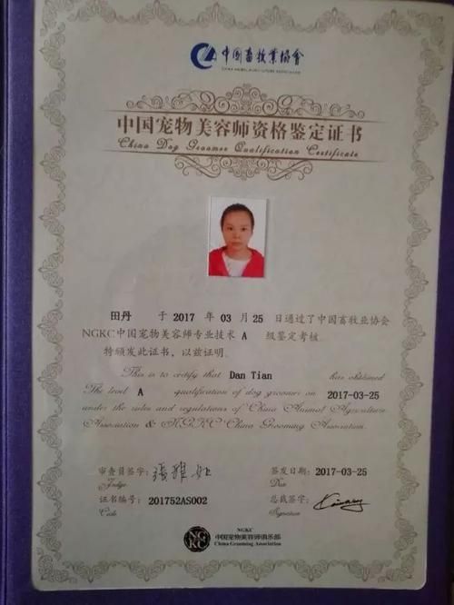 宠物美容师资格证自考难吗_宠物美容师可以自考吗