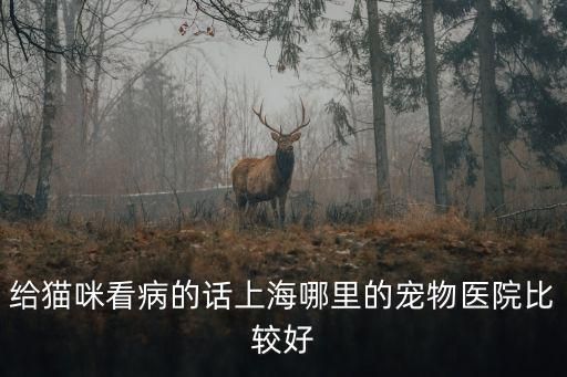 给猫咪看病的话上海哪里的宠物医院比较好