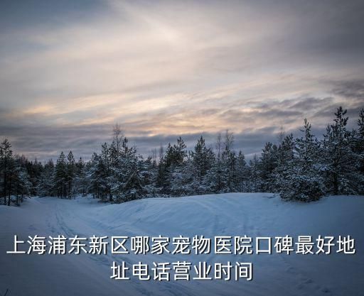 上海浦东新区哪家宠物医院口碑最好地址电话营业时间