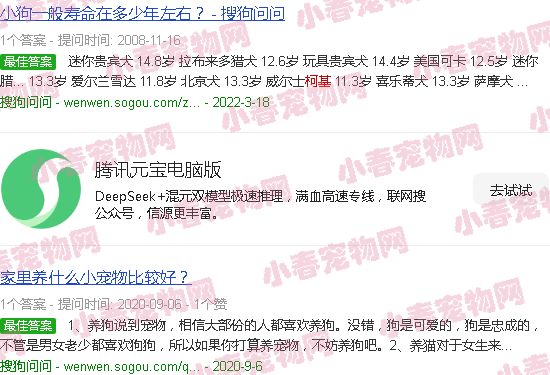 小型宠物狗价格排名 柯基