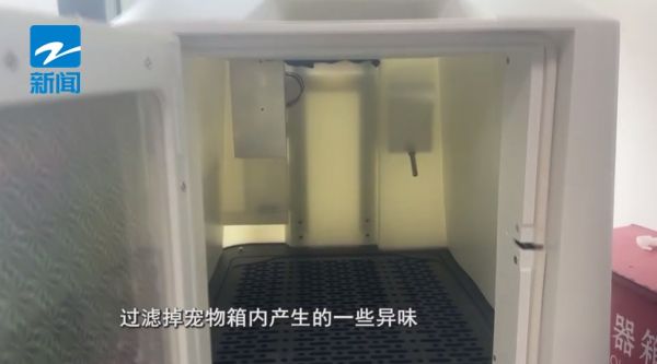 杭州东站首批！“毛孩子”也能坐高铁了