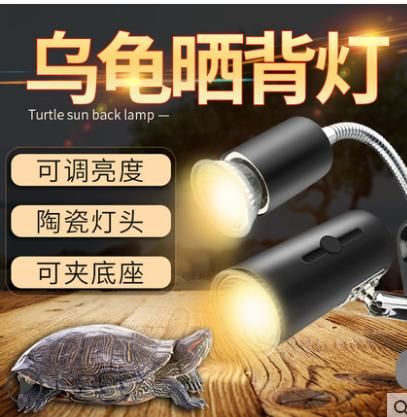 养乌龟需要的设备