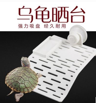 养乌龟需要的设备
