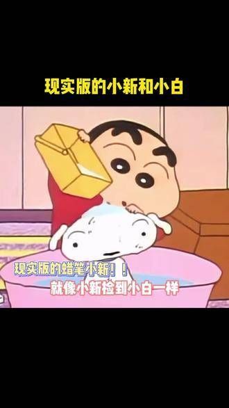 希望每只 流浪狗 都能遇见属于自己的心软的神明！ 宠物 感动