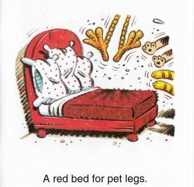 亲子英语绘本导读25：A Bed for Pet 乱糟糟的床需要整理了