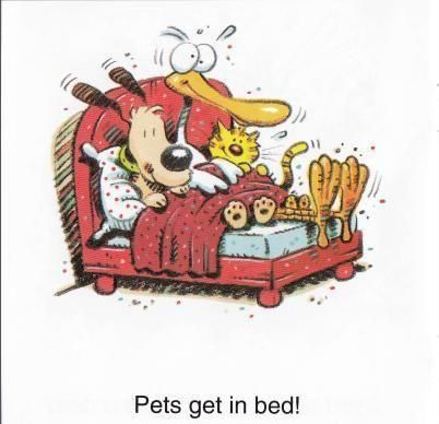 亲子英语绘本导读25：A Bed for Pet 乱糟糟的床需要整理了