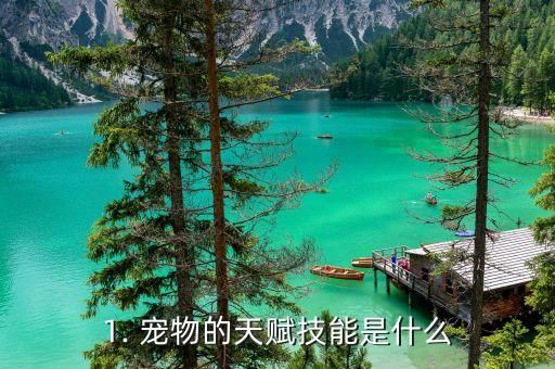 1. 宠物的天赋技能是什么