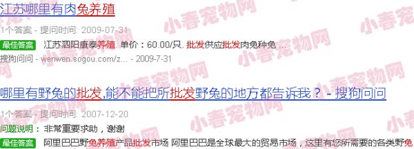 宠物兔养殖基地批发