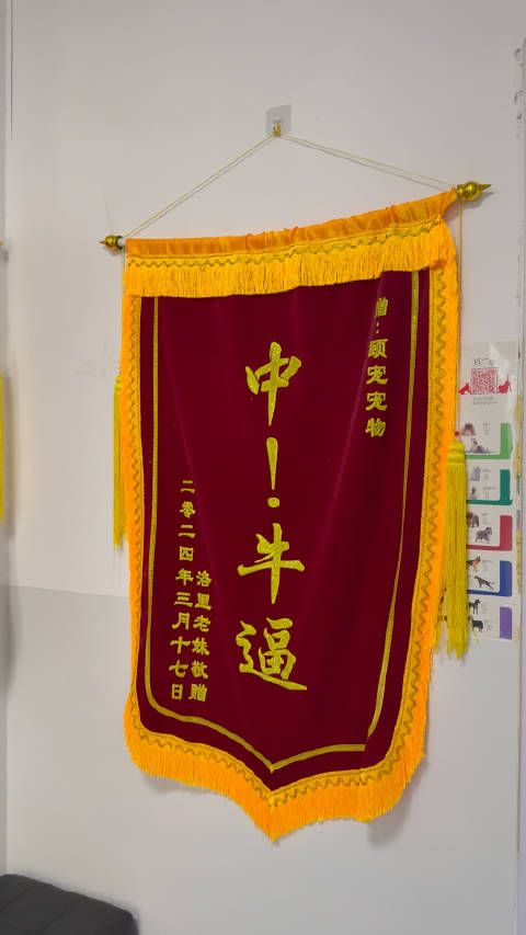 应该是找对了地方 他们这个宠物医院累计已经做了 6000 多例的绝育手术了