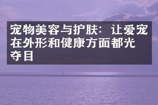 宠物美容与护肤：让爱宠在外形和健康方面都光彩夺目