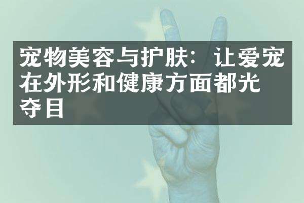 宠物美容与护肤：让爱宠在外形和健康方面都光彩夺目