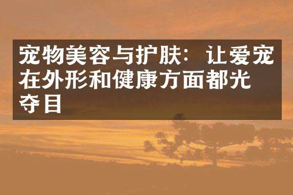 宠物美容与护肤：让爱宠在外形和健康方面都光彩夺目