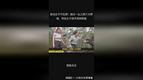 谁说女子不如男！面对一头三百斤大野猪，两名女子徒手将其制服