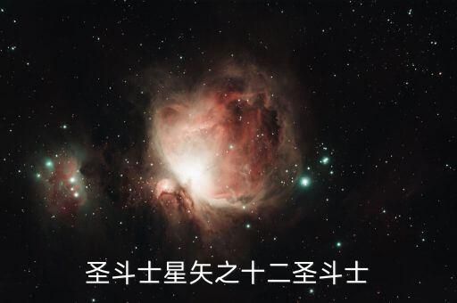 圣斗士星矢之十二圣斗士