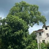 我爱吃蛋挞