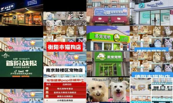 宠物连锁店排行榜