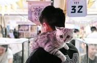 宠物超市新体验：宠物们也能自己挑选心仪商品