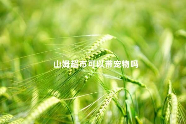 山姆超市可以带宠物吗