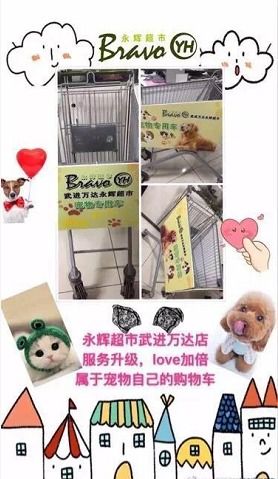 宠物也能逛超市?永辉又出新零售方式