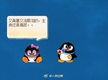 qq 宠物怎么打开,QQ宠物怎么打开