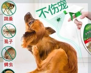 狗狗配种前该如何驱虫（宠物狗驱虫的必要性和方法）