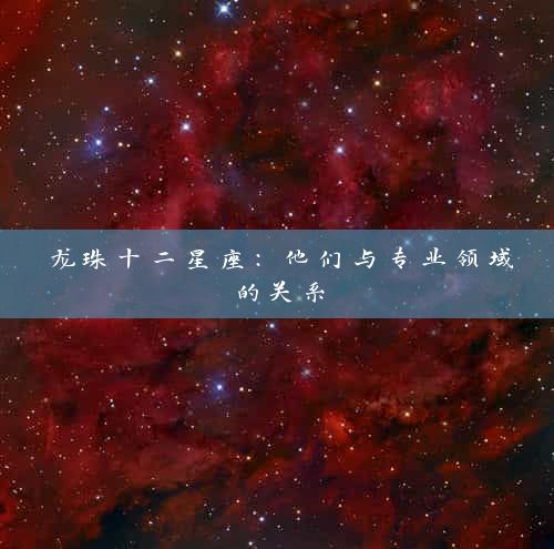 龙珠十二星座：他们与专业领域的关系