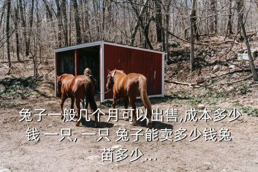  兔子一般几个月可以出售,成本多少钱 一只, 一只 兔子能卖多少钱兔苗多少...