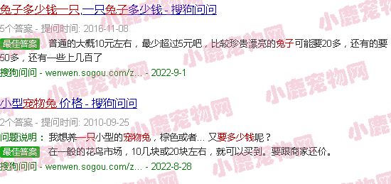 宠物兔要多少钱一只