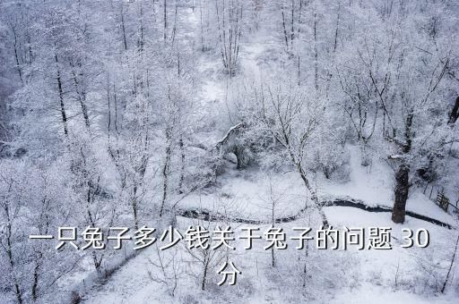 一只兔子多少钱关于兔子的问题 30分