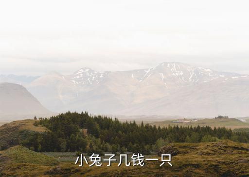 小兔子几钱一只