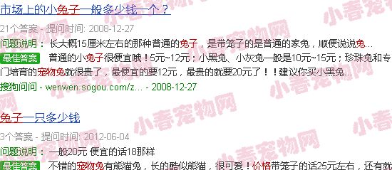 宠物兔价格一览表