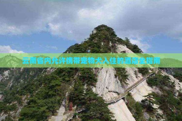 云南省内允许携带宠物犬入住的酒店全指南