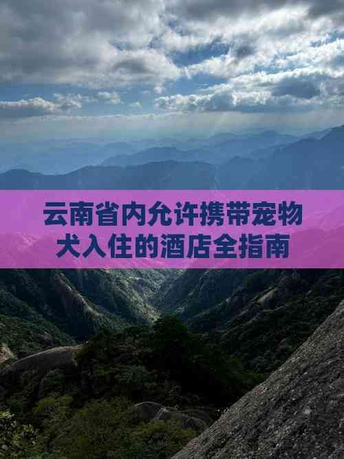 云南省内允许携带宠物犬入住的酒店全指南