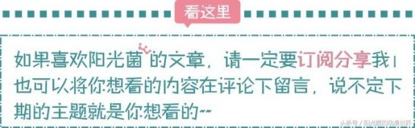 《宠物小精灵》里美丽又迷人的反派角色，火箭队也是一本心酸