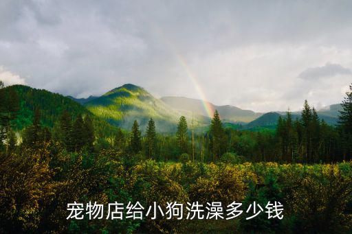 宠物店给小狗洗澡多少钱