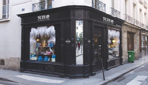 成都宠物店招聘：如何成为一名优秀的宠物店员工？宠物店招聘面试技巧