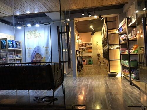 成都宠物店招聘：如何成为一名优秀的宠物店员工？宠物店招聘面试技巧
