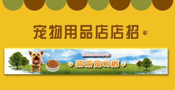 成都宠物店招聘：如何成为一名优秀的宠物店员工？宠物店招聘面试技巧