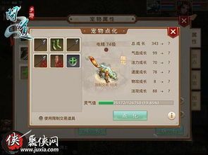 问道宠物洗点宝宝，如何快速提升实力？