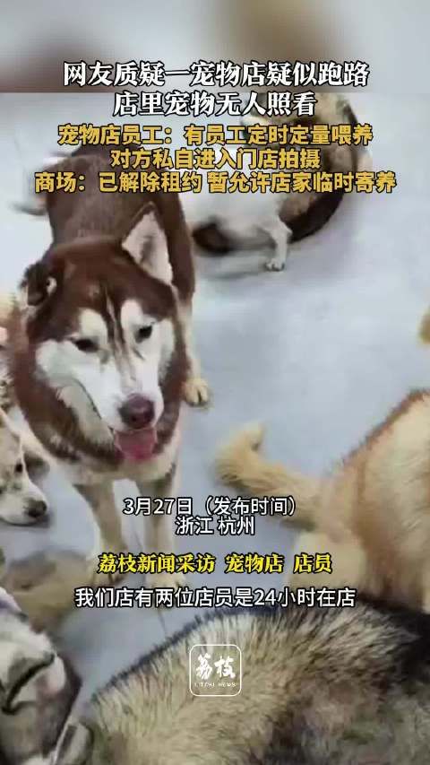 杭州宠物店租约到期，疑似弃养狗狗引争议