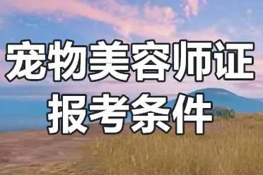宠物美容师证报考条件