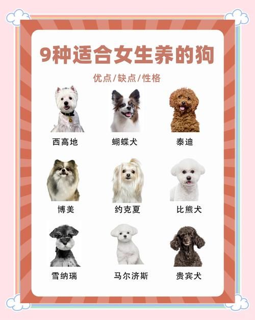 养殖宠物狗效益如何_养宠物狗的利润与成本