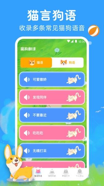 宠物猫咪翻译器app
