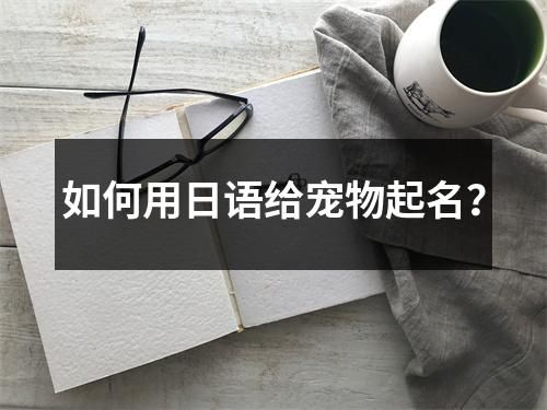 如何用日语给宠物起名？